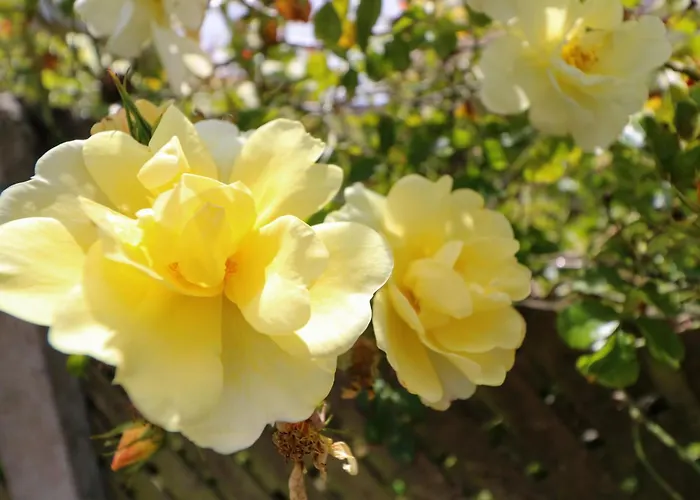 Casa vacanze 23 Cois Caol Skibbereen